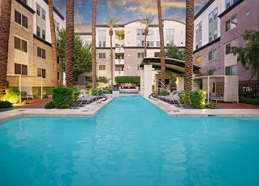 A swimming pool surrounded by palm trees and lounge chairs in a residential area.