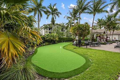 A green putting green in the middle of a grassy area with palm trees.