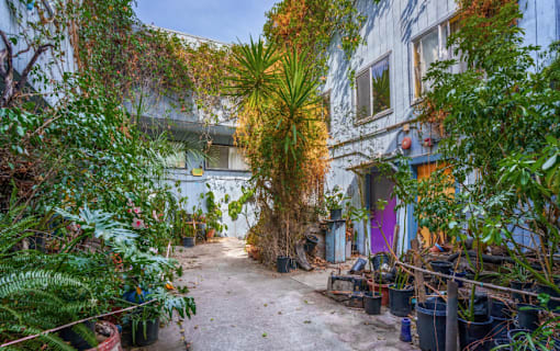 A pathway leads through a lush garden.
