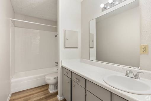 a bathroom with a sink and a toilet and a mirror