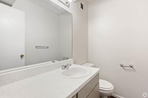 a bathroom with a sink and a toilet and a mirror