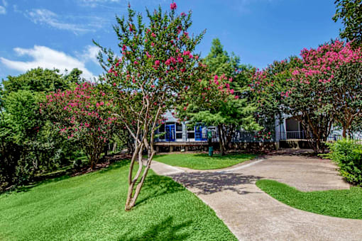 a yard with a driveway and a house in the background