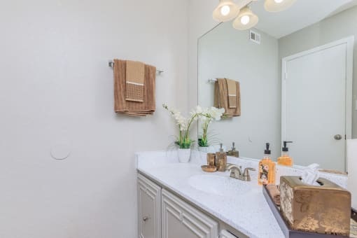 a bathroom with a sink and a mirror