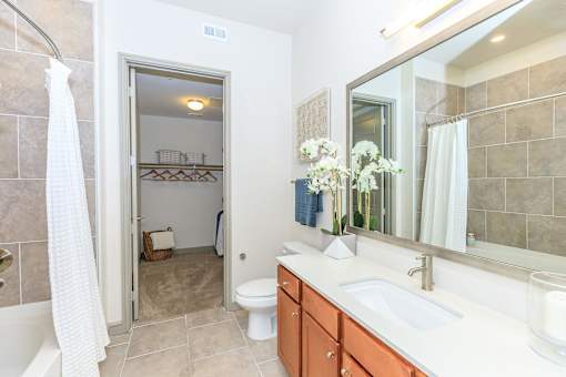 a bathroom with a sink and a mirror and a toilet