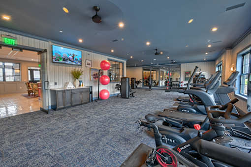 A gym with a row of treadmills on the right and a green plant on the left.