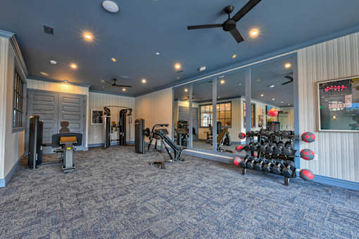 A spacious gym with a variety of equipment.