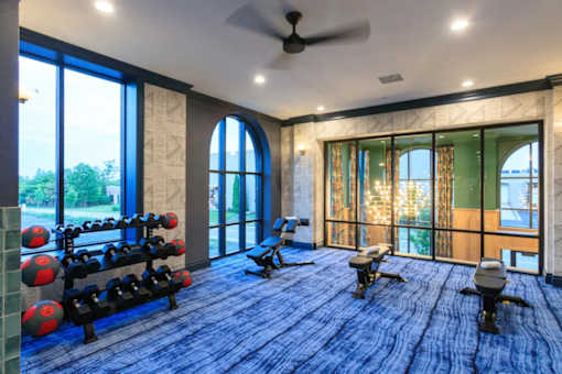 A gym with a row of dumbbells and a bench press.