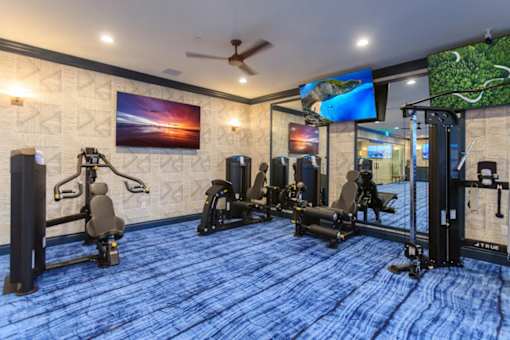 A gym with a variety of equipment including treadmills, stationary bikes, and weight machines.