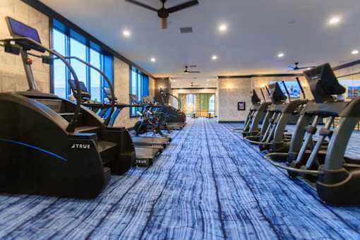 A gym with treadmills and a blue carpet.