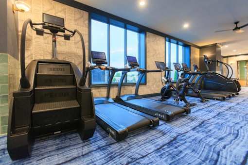 A row of treadmills are lined up in a gym.