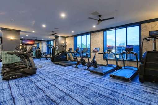 A gym with treadmills, elliptical machines, and a fan.