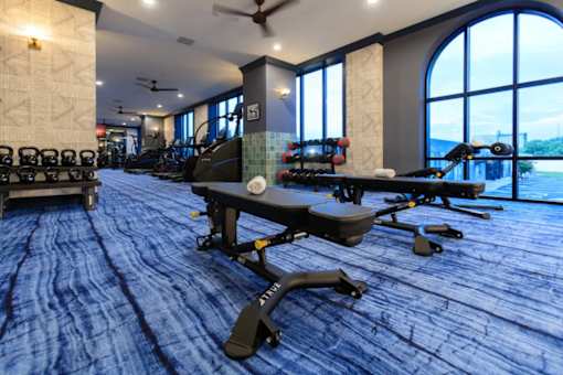 A gym with a row of treadmills and elliptical machines.