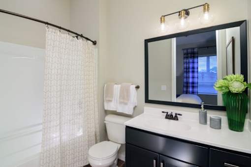 a bathroom with a toilet sink mirror and shower at Essex, Columbus, Ohio