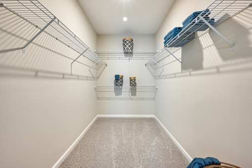 A spacious walk-in closet with white shelving and a carpeted floor.