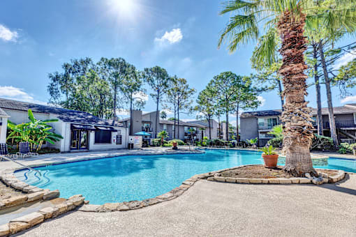 A palm tree stands next to a swimming pool in a sunny backyard.