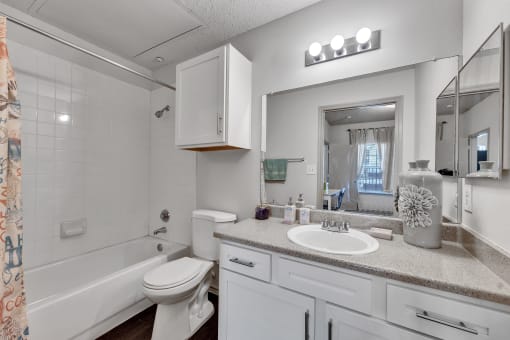 a bathroom with a sink and a toilet and a tub
