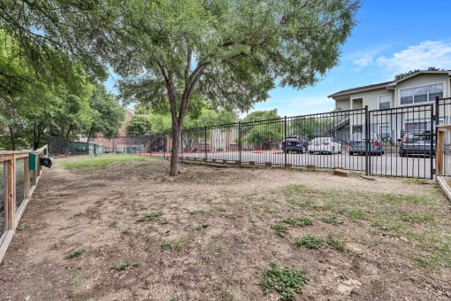 a fenced in yard with a tree and a fence at Waters at Elm Creek, Texas