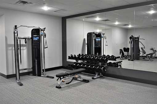 A gym with a variety of equipment including a squat rack, bench press, and dumbbells.