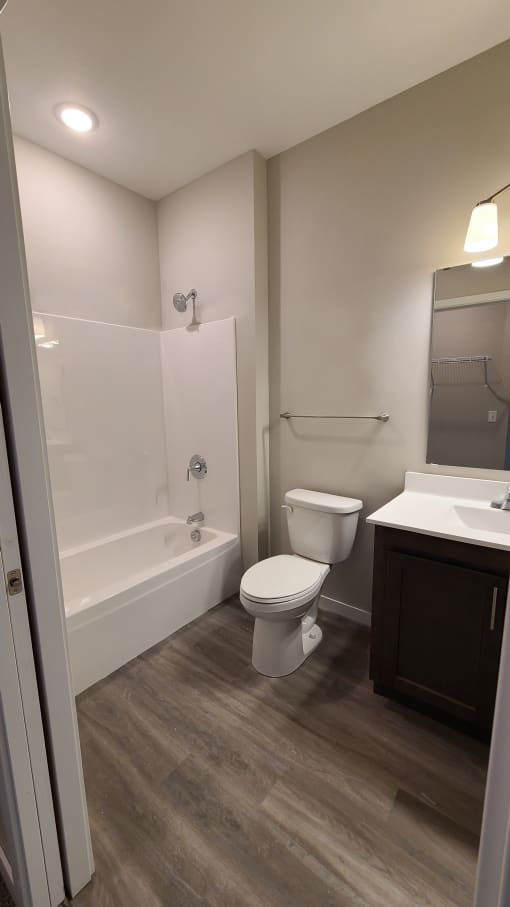 a bathroom with a toilet and a tub and a sink