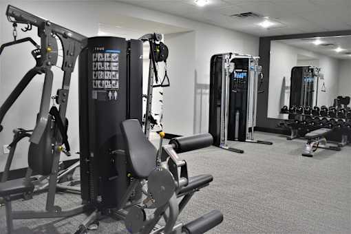 A gym with a variety of equipment including a treadmill, a stationary bike and a rowing machine.