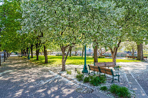 A park with benches and trees.