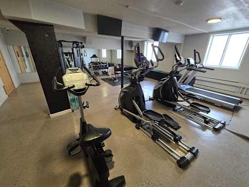A gym with treadmills and elliptical machines.