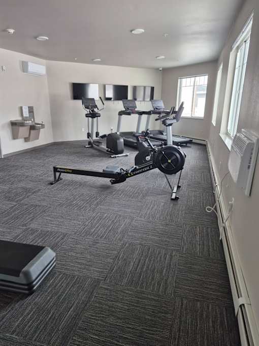 A gym with a row of treadmills and elliptical machines.