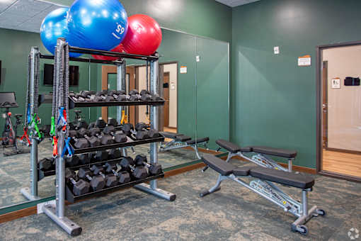 A gym with a bench, weights, and exercise balls.