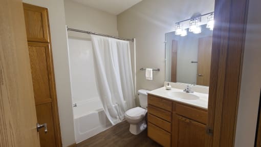 a bathroom with a shower toilet sink and mirror