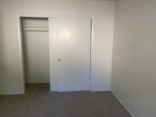 Additional Bedroom View with Closet
