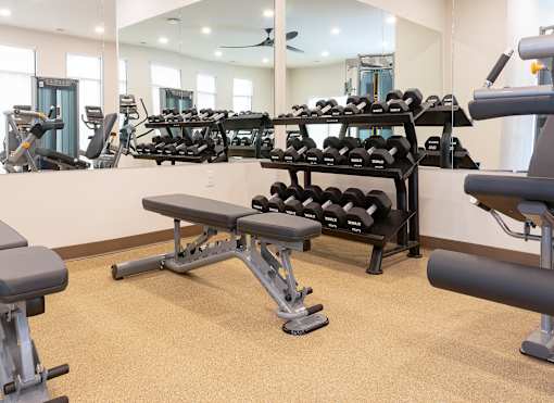 Weights in gym at Alta Apartments, Wisconsin 53186