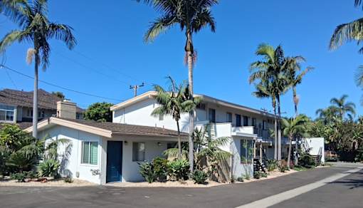 A row of houses with palm trees in front.