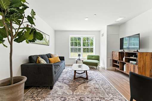 A living room with a grey couch and a green chair.