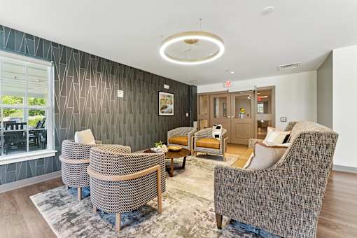 A living room with a grey patterned chair and a rug.