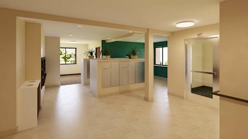 A spacious office with a reception desk and a green wall.
