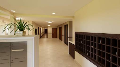 A long hallway with a plant on the left and a brown wall on the right.