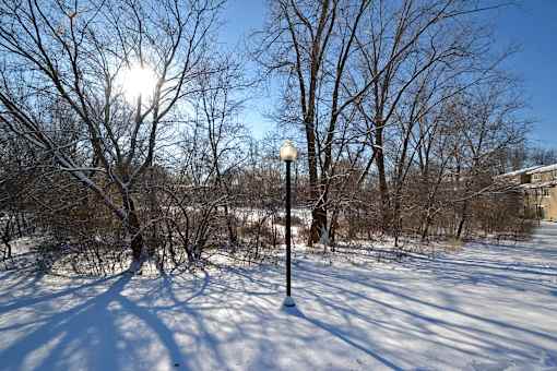 A snowy landscape with trees and a street light.