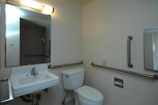 A white toilet sits next to a sink in a bathroom.