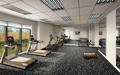 A gym with treadmills, elliptical machines, and other exercise equipment.