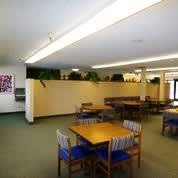 A room with tables and chairs and a green plant on the wall.