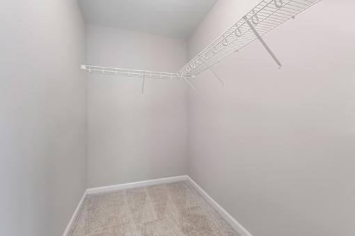 A white closet with a carpeted floor and a white shelf.