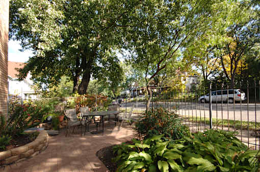 A backyard with a table and chairs surrounded by trees.