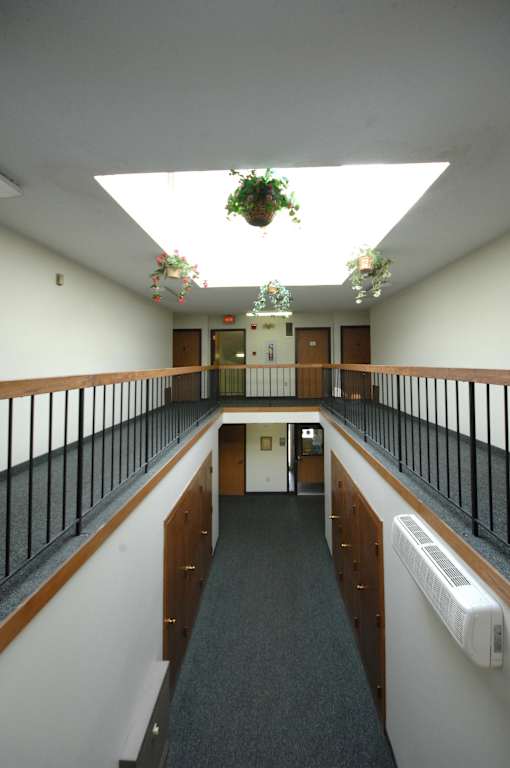 A long hallway with a skylight and hanging plants.