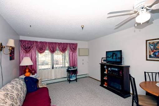 A living room with a couch, a television, and a fireplace.