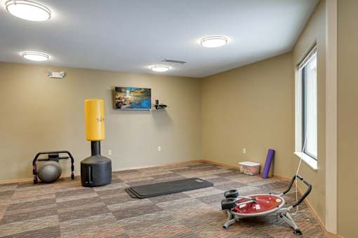A room with a red exercise ball on a stand and a yellow exercise ball on the floor.