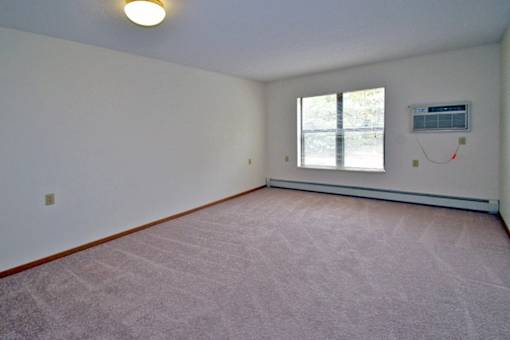 A room with a window and a carpet on the floor.