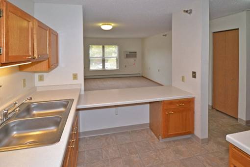 A kitchen with a sink, counter, and cabinets.