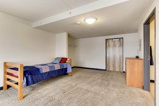 A bedroom with a bed, dresser, and carpeted floor.