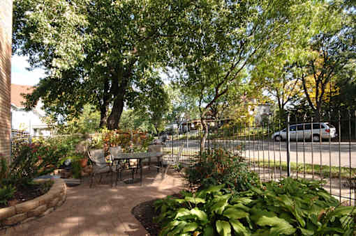 A backyard with a table and chairs surrounded by trees.