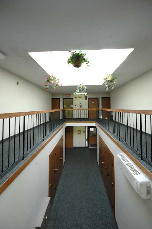 A long hallway with a skylight and hanging plants.